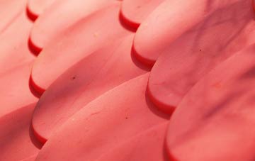 Ecclesall plastic roof costs